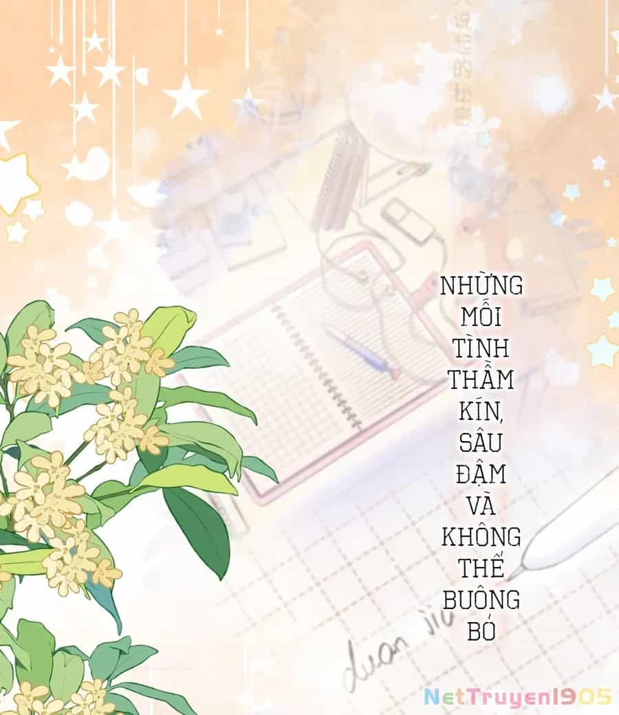 Vụng Trộm Giấu Không Được - Chương 139.2 - ảnh 36
