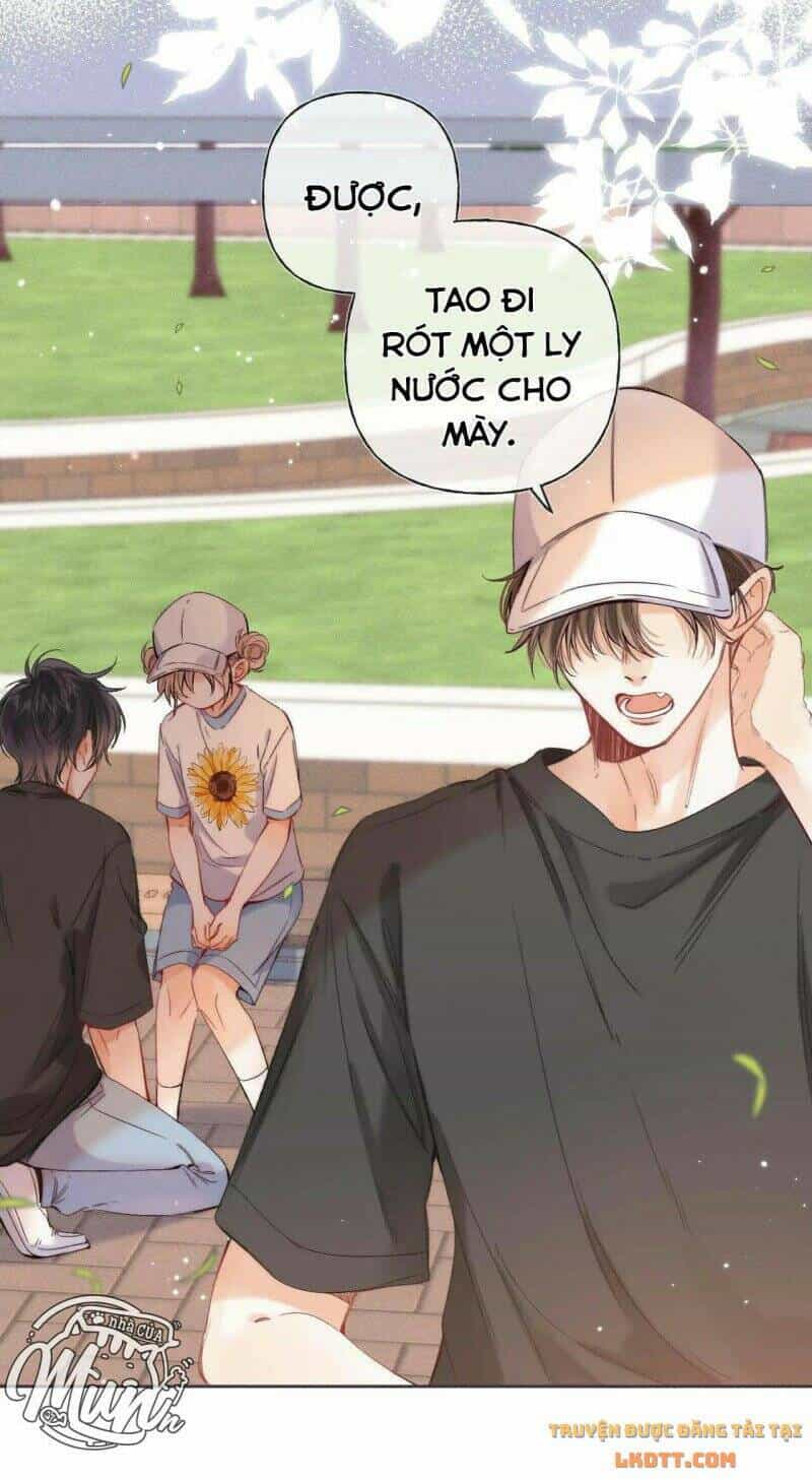 Vụng Trộm Giấu Không Được - Chương 26 - ảnh 18