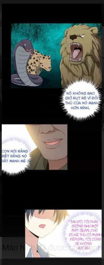 Vương Bài Bảo Tiêu - Chương 4 - ảnh 19