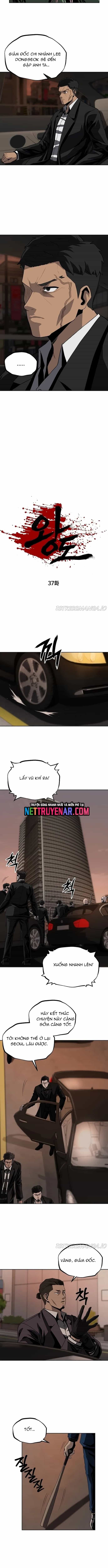 Vương Đạo - Chương 37 - ảnh 3