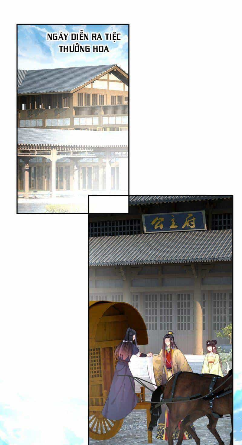 Vương Gia, Áo Lót Của Ngươi Rơi Mất Rồi - Chương 115 - ảnh 1