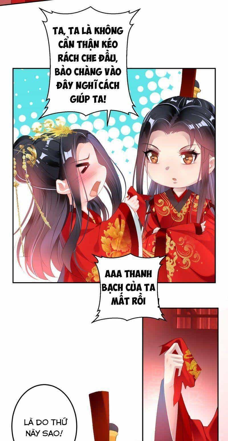 Vương Gia, Áo Lót Của Ngươi Rơi Mất Rồi - Chương 121 - ảnh 17