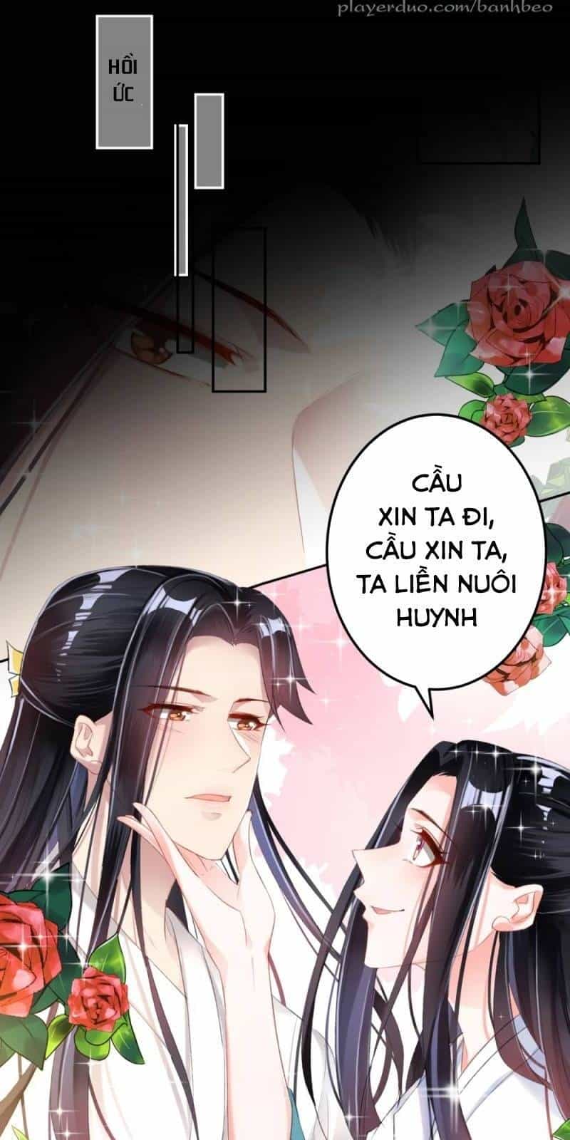 Vương Gia, Áo Lót Của Ngươi Rơi Mất Rồi - Chương 12 - ảnh 14