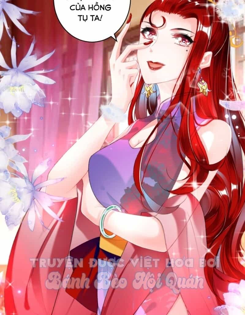 Vương Gia, Áo Lót Của Ngươi Rơi Mất Rồi - Chương 39 - ảnh 13