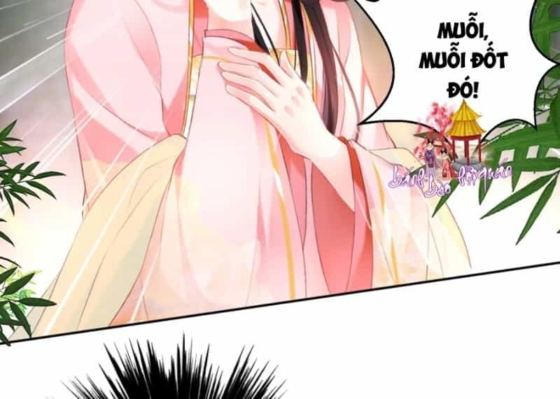 Vương Gia, Áo Lót Của Ngươi Rơi Mất Rồi - Chương 42 - ảnh 32