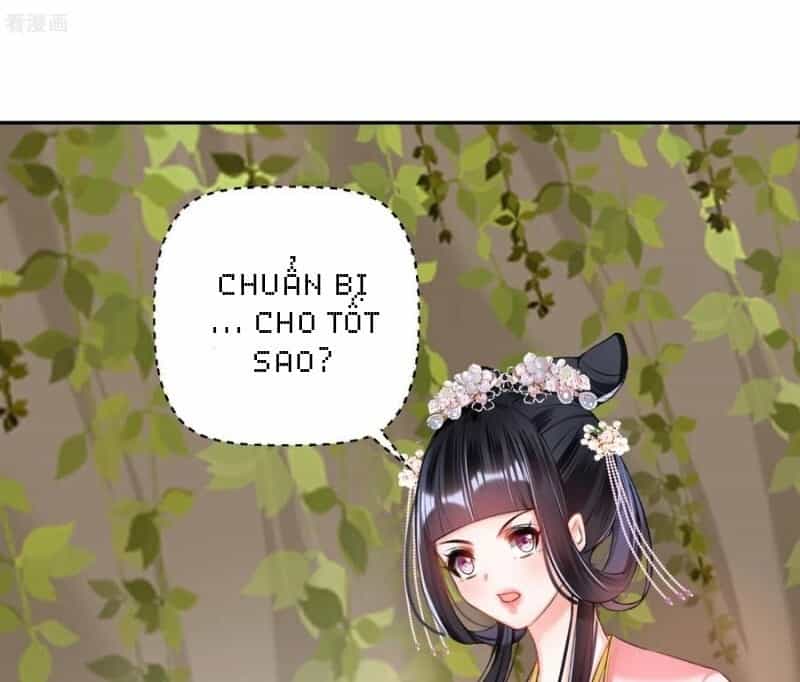 Vương Gia, Áo Lót Của Ngươi Rơi Mất Rồi - Chương 53 - ảnh 12