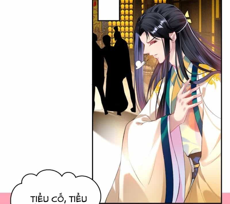 Vương Gia, Áo Lót Của Ngươi Rơi Mất Rồi - Chương 59 - ảnh 27