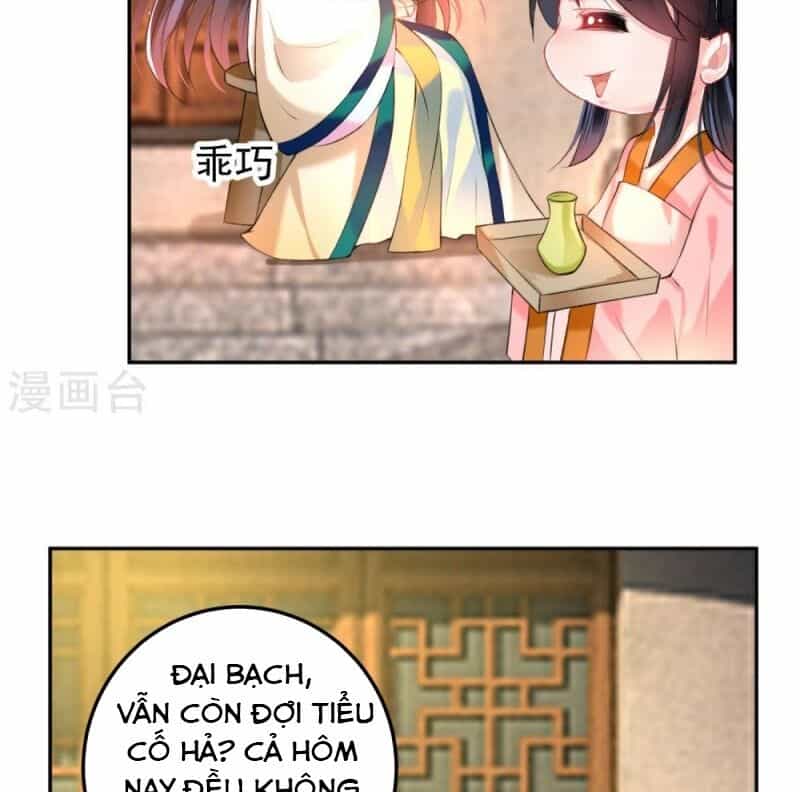 Vương Gia, Áo Lót Của Ngươi Rơi Mất Rồi - Chương 62 - ảnh 18