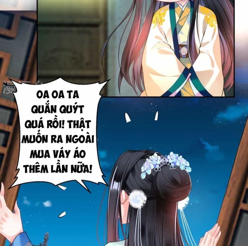 Vương Gia, Áo Lót Của Ngươi Rơi Mất Rồi - Chương 62 - ảnh 21