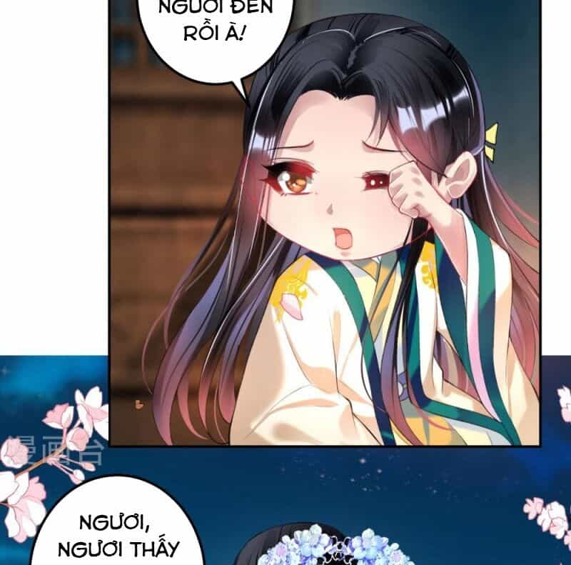 Vương Gia, Áo Lót Của Ngươi Rơi Mất Rồi - Chương 62 - ảnh 27
