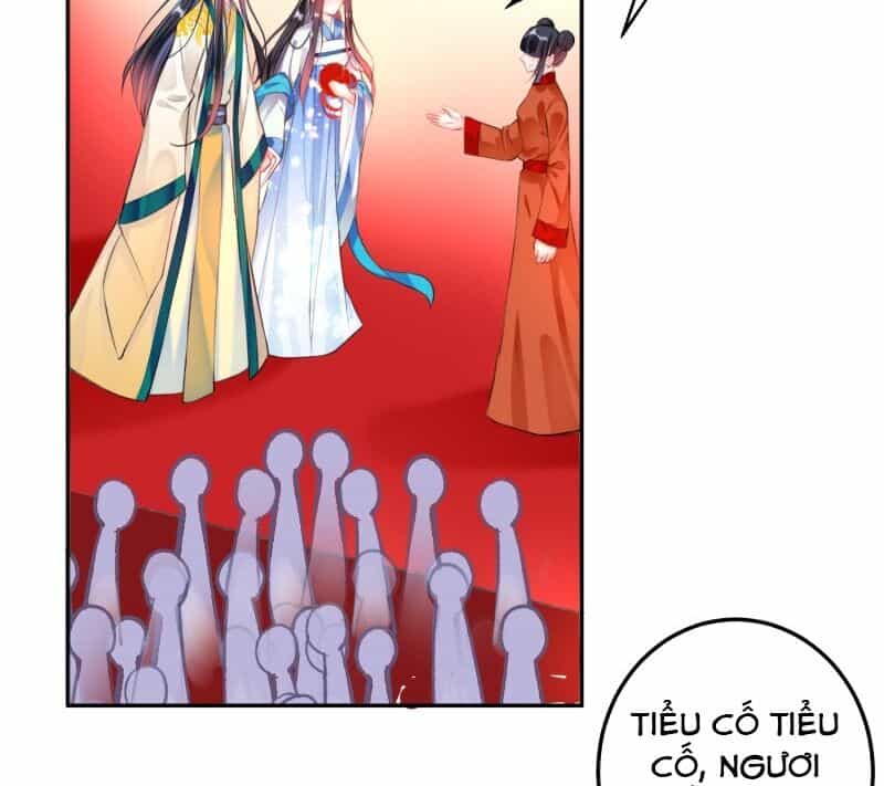 Vương Gia, Áo Lót Của Ngươi Rơi Mất Rồi - Chương 63 - ảnh 10