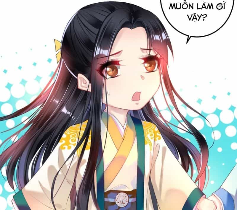 Vương Gia, Áo Lót Của Ngươi Rơi Mất Rồi - Chương 63 - ảnh 11