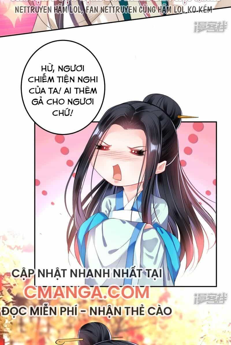 Vương Gia, Áo Lót Của Ngươi Rơi Mất Rồi - Chương 64 - ảnh 14