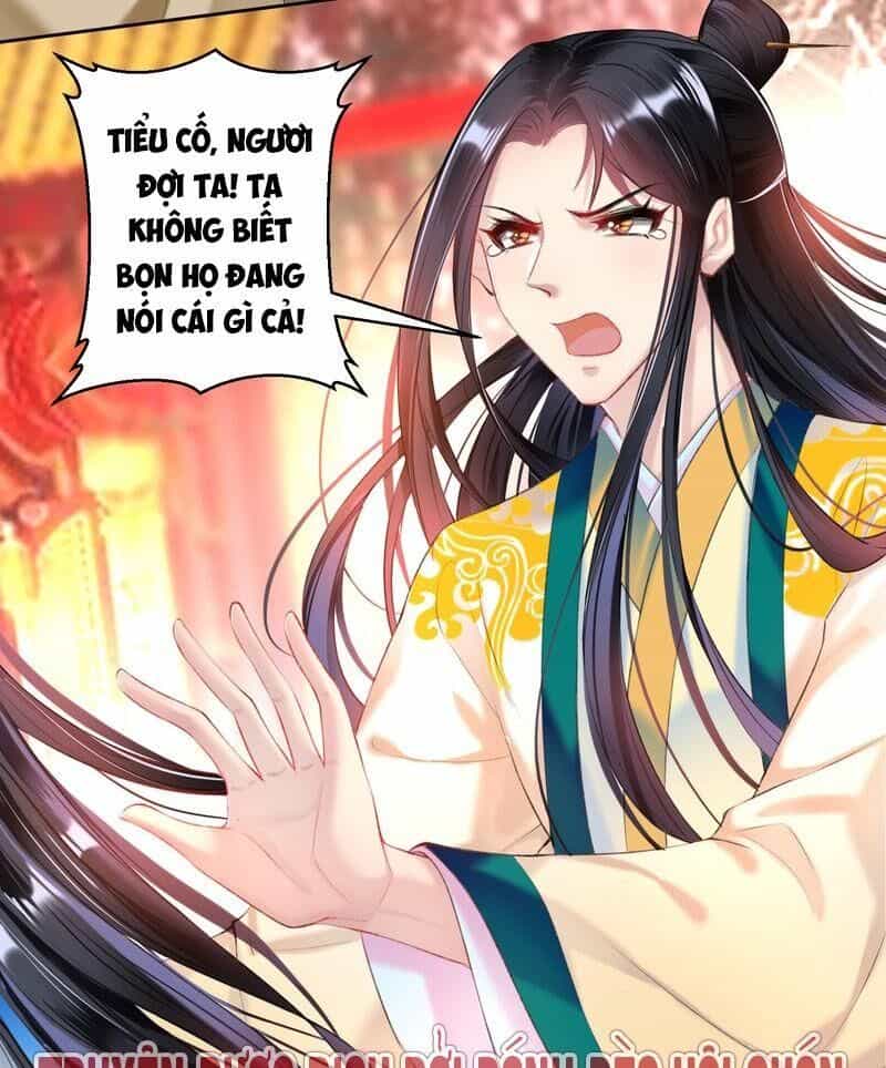 Vương Gia, Áo Lót Của Ngươi Rơi Mất Rồi - Chương 65 - ảnh 5