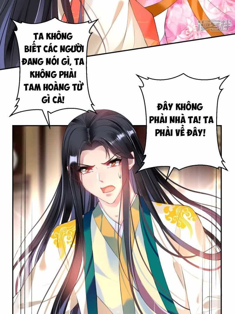 Vương Gia, Áo Lót Của Ngươi Rơi Mất Rồi - Chương 66 - ảnh 3