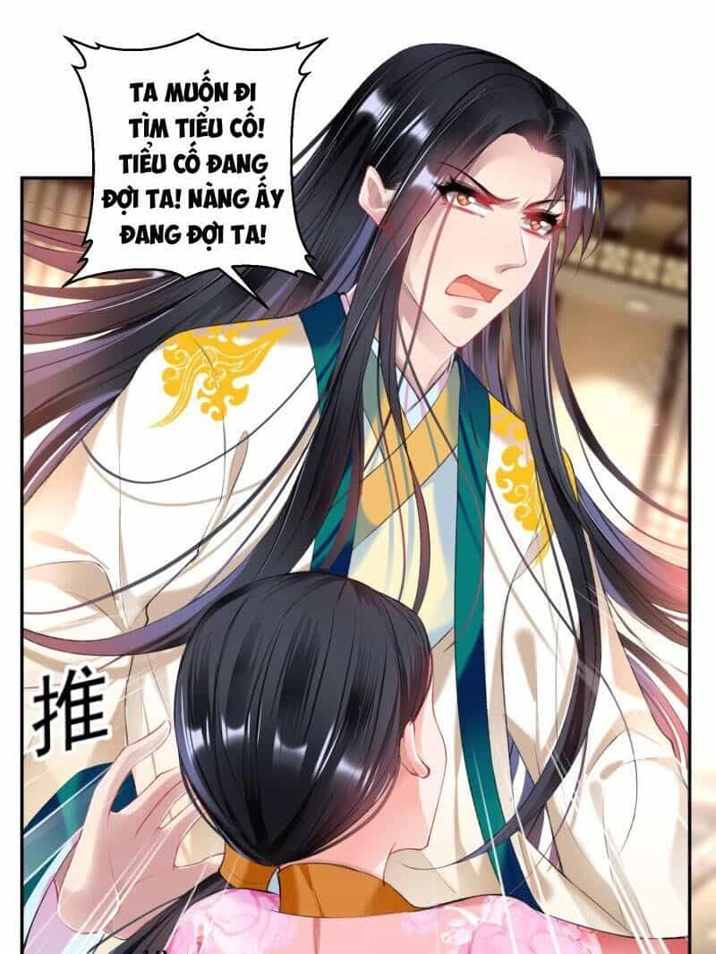 Vương Gia, Áo Lót Của Ngươi Rơi Mất Rồi - Chương 66 - ảnh 6