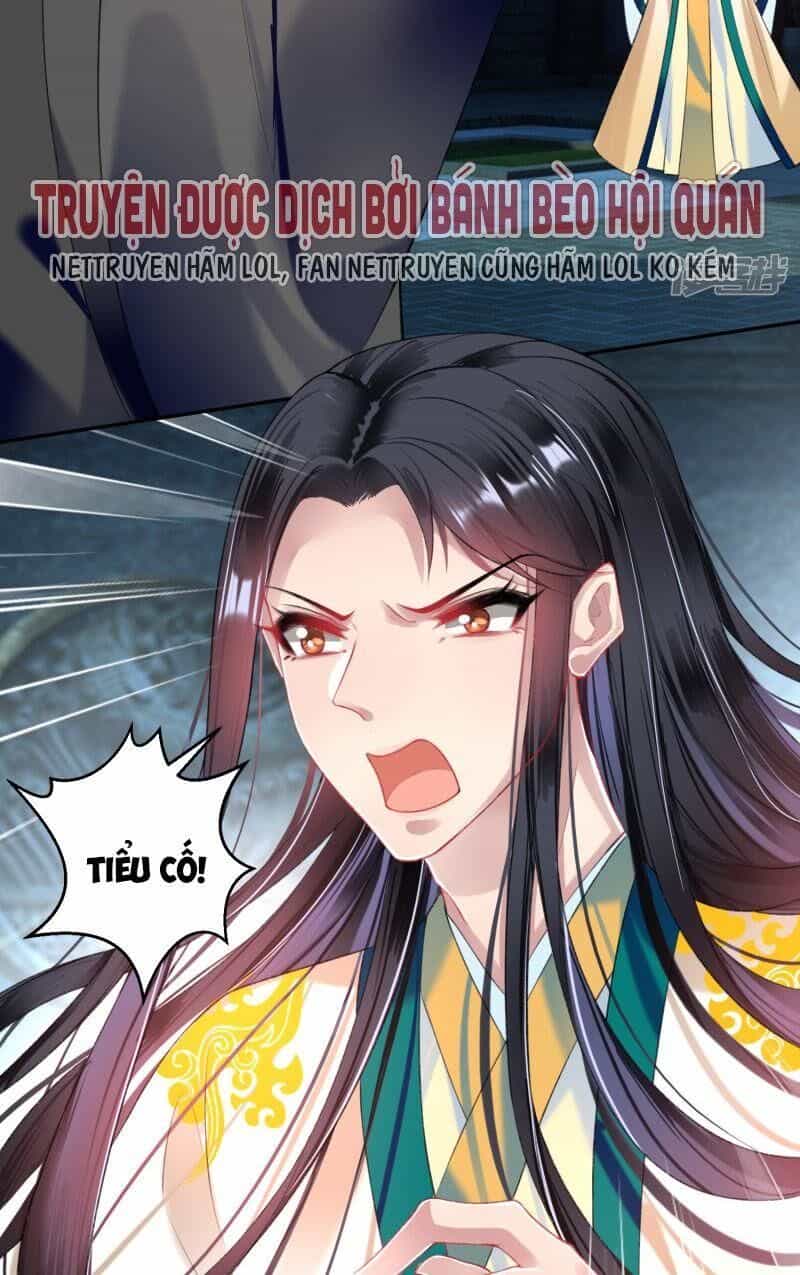 Vương Gia, Áo Lót Của Ngươi Rơi Mất Rồi - Chương 68 - ảnh 8