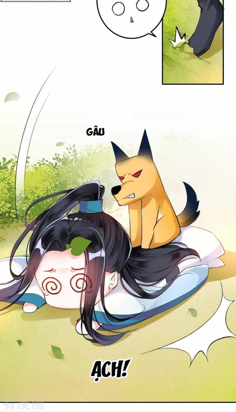 Vương Gia, Áo Lót Của Ngươi Rơi Mất Rồi - Chương 6 - ảnh 33