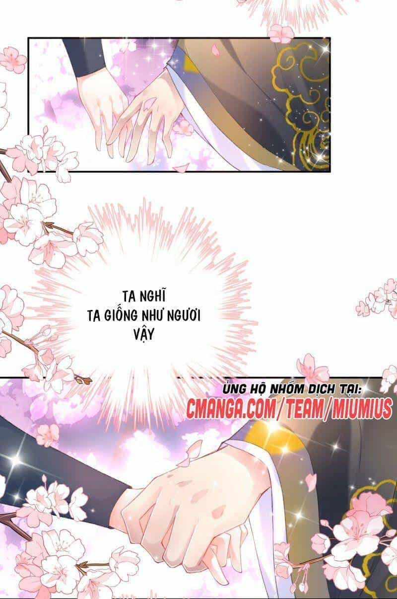Vương Gia, Áo Lót Của Ngươi Rơi Mất Rồi - Chương 96 - ảnh 19