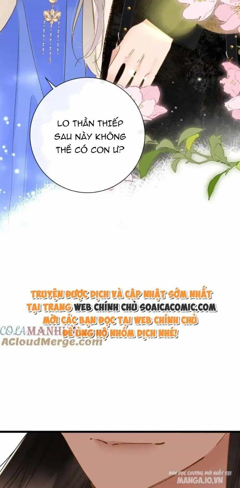 Vương Gia Hắn Luôn Nghĩ Tôi Yêu Hắn Đến Nghiện - Chương 60 - ảnh 12