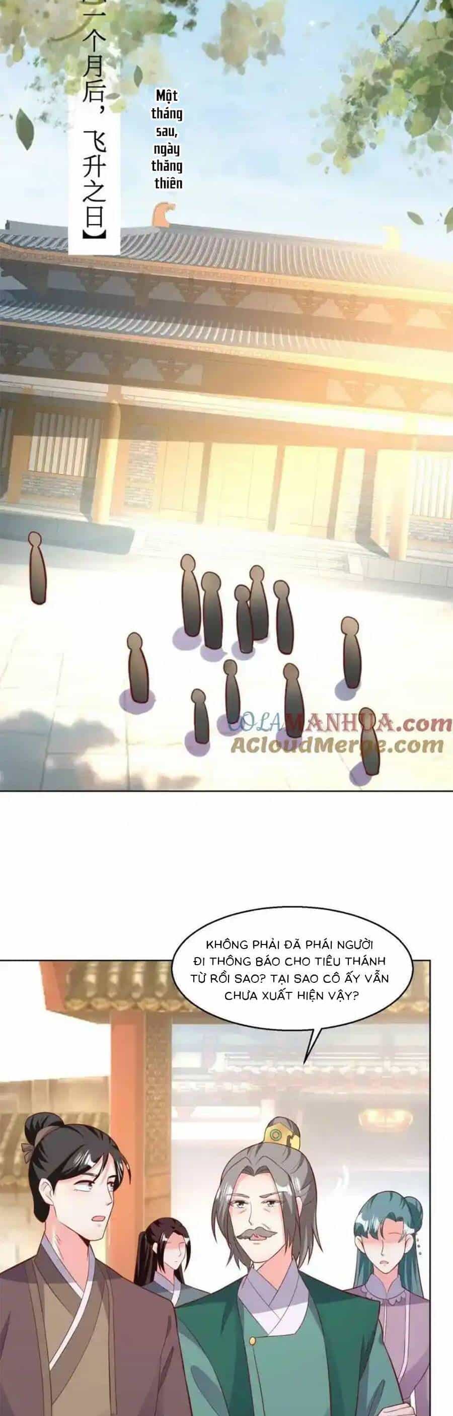 Vương Gia Khắc Thê - Chương 224 - ảnh 10