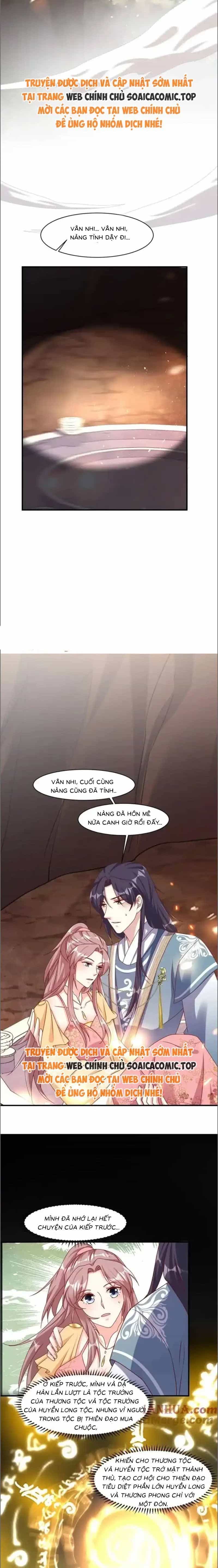 Vương Gia Khắc Thê - Chương 253 - ảnh 4