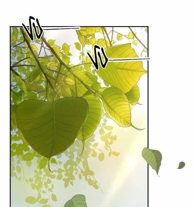 Vương Gia Kiêu Ngạo Quá Khó Cua - Chương 44 - ảnh 2
