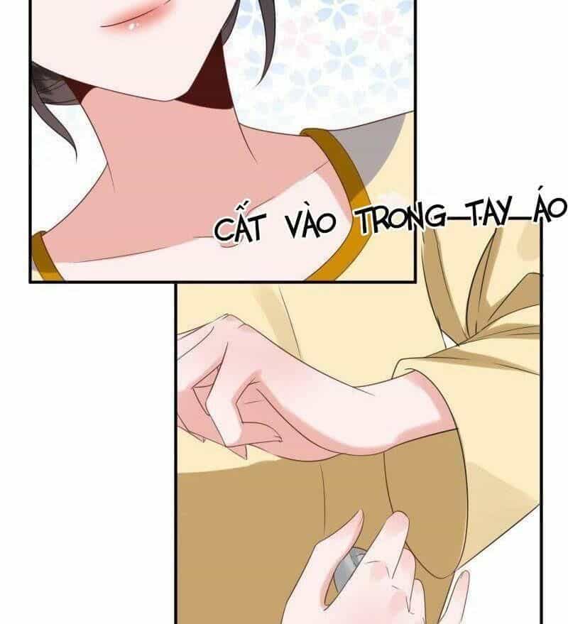Vương Gia Kiêu Ngạo Quá Khó Cua - Chương 66 - ảnh 29