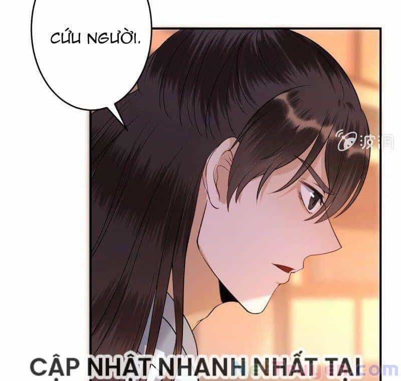 Vương Gia Kiêu Ngạo Quá Khó Cua - Chương 89 - ảnh 40