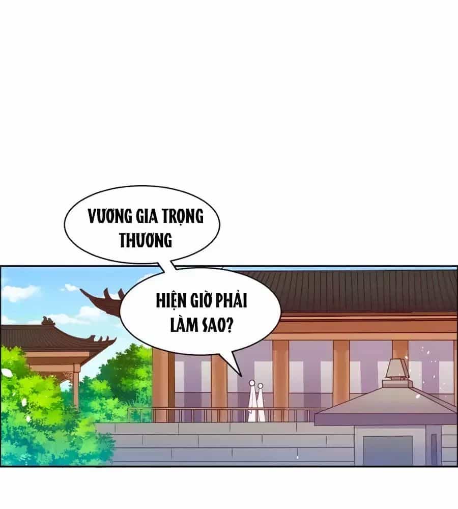 Vương Gia Là Đầu Đại Lão Hổ - Chương 56 - ảnh 29