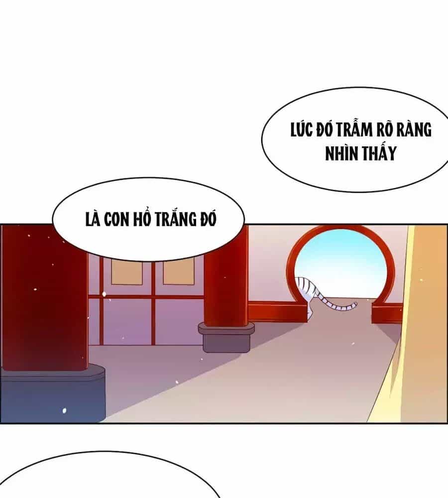 Vương Gia Là Đầu Đại Lão Hổ - Chương 57 - ảnh 21
