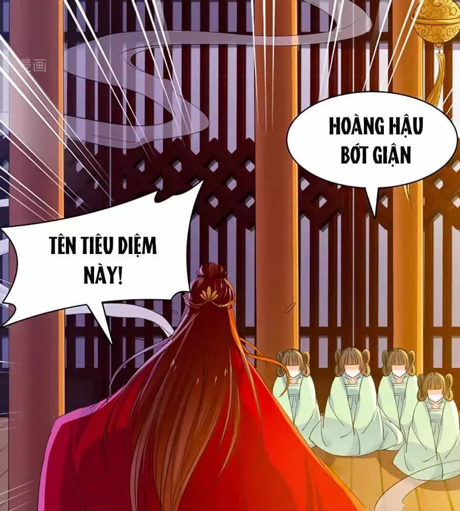 Vương Gia Là Đầu Đại Lão Hổ - Chương 63 - ảnh 13