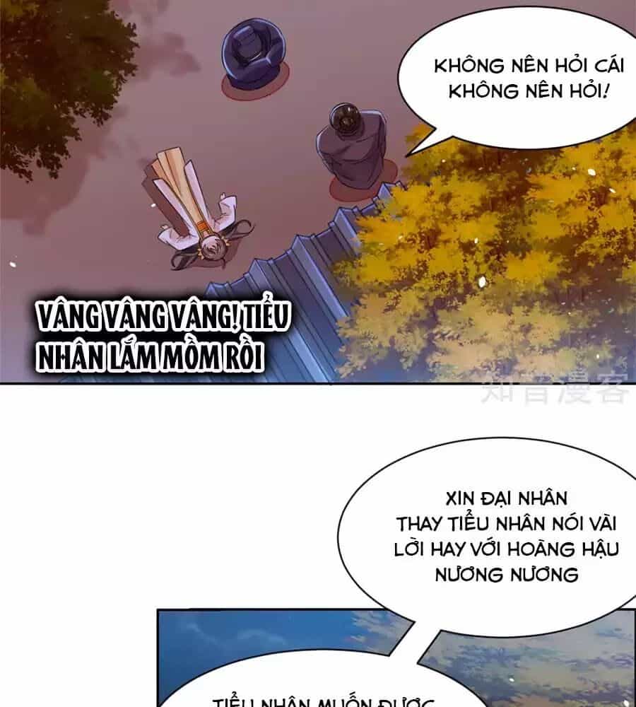 Vương Gia Là Đầu Đại Lão Hổ - Chương 68 - ảnh 15