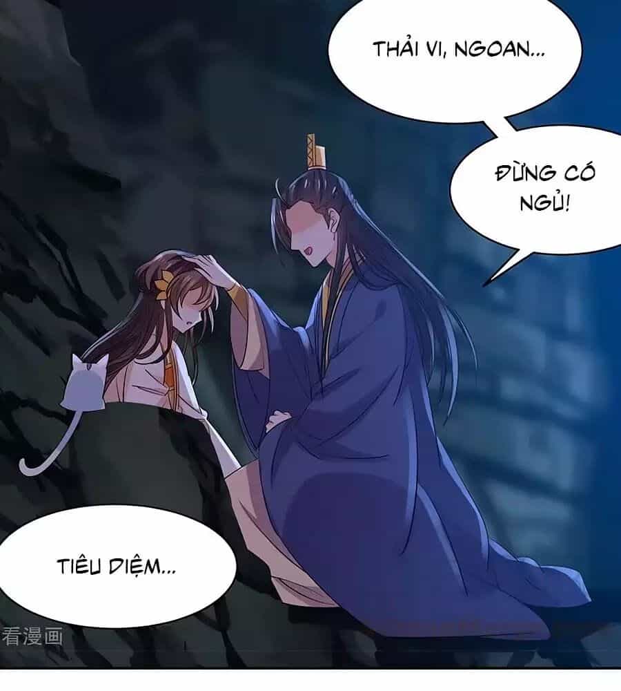 Vương Gia Là Đầu Đại Lão Hổ - Chương 70 - ảnh 4