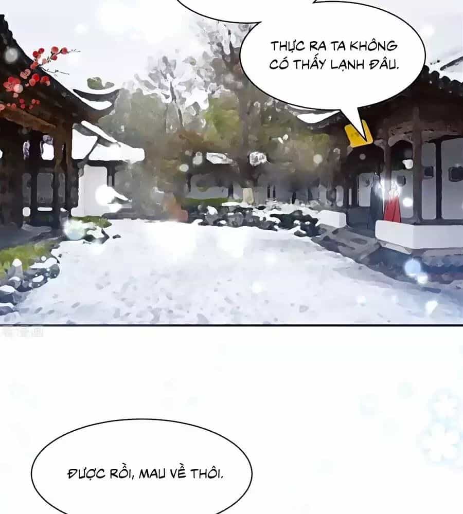 Vương Gia Là Đầu Đại Lão Hổ - Chương 73 - ảnh 23