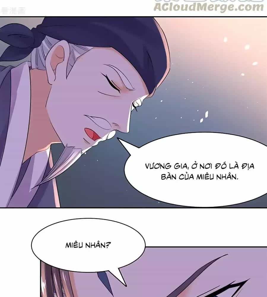Vương Gia Là Đầu Đại Lão Hổ - Chương 73 - ảnh 32