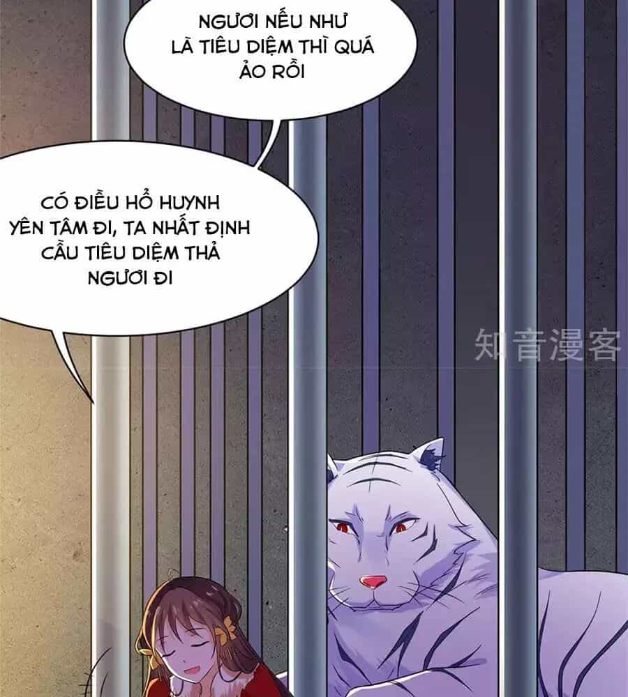Vương Gia Là Đầu Đại Lão Hổ - Chương 75 - ảnh 15