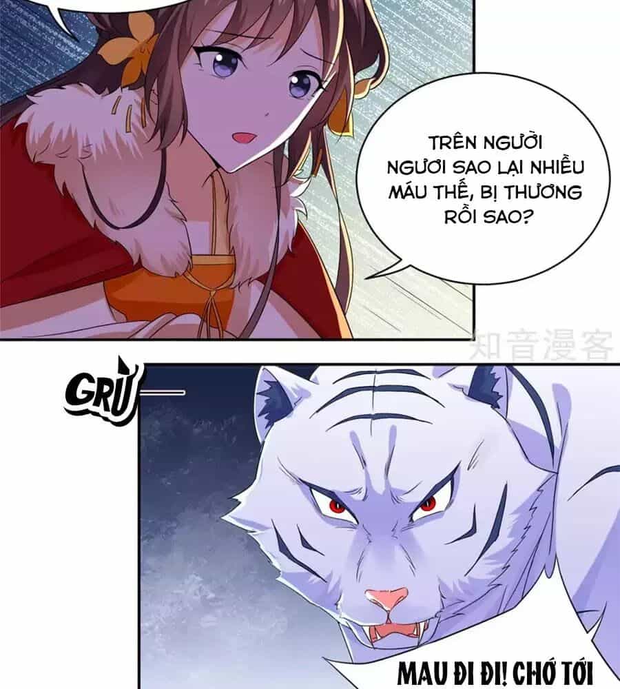 Vương Gia Là Đầu Đại Lão Hổ - Chương 75 - ảnh 2