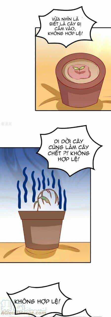 Vương Gia Người Ta Sẽ Giảm Béo Mà!!! - Chương 168 - ảnh 13