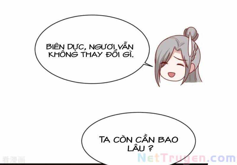 Vương Gia Người Ta Sẽ Giảm Béo Mà!!! - Chương 192 - ảnh 5
