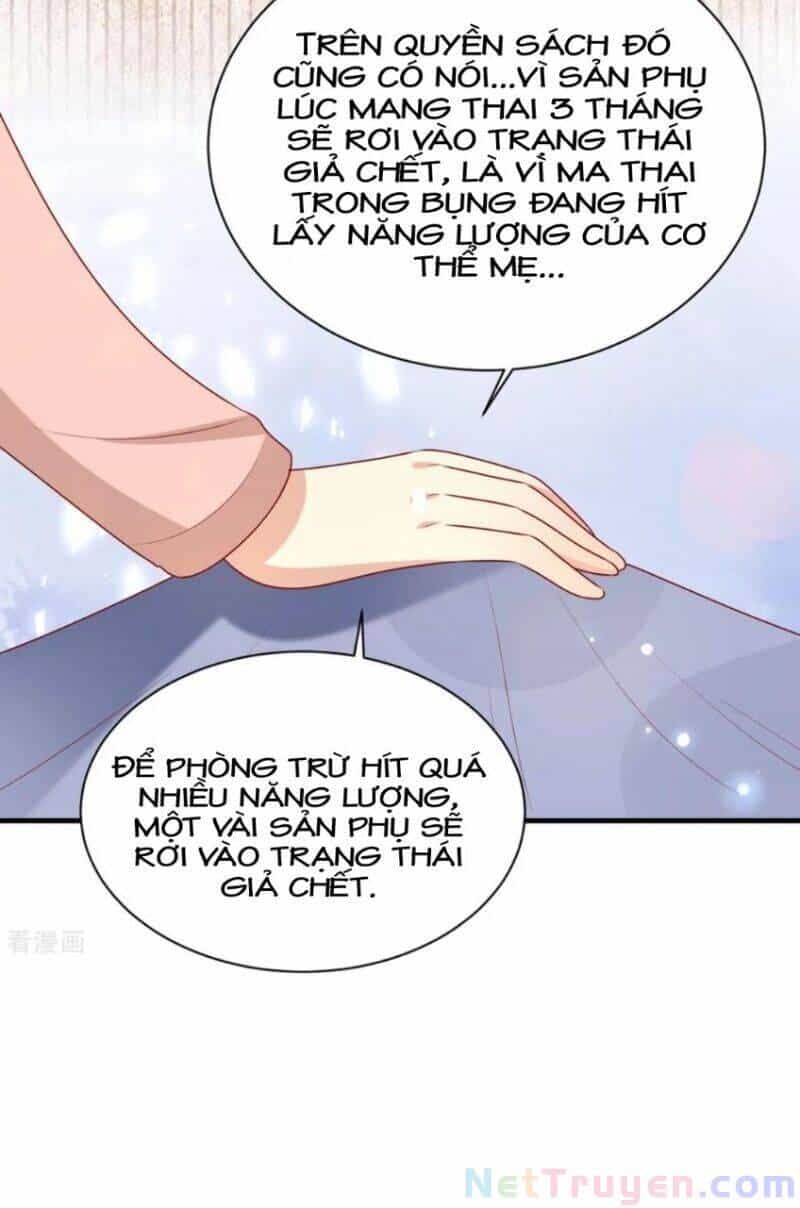 Vương Gia Người Ta Sẽ Giảm Béo Mà!!! - Chương 195 - ảnh 25