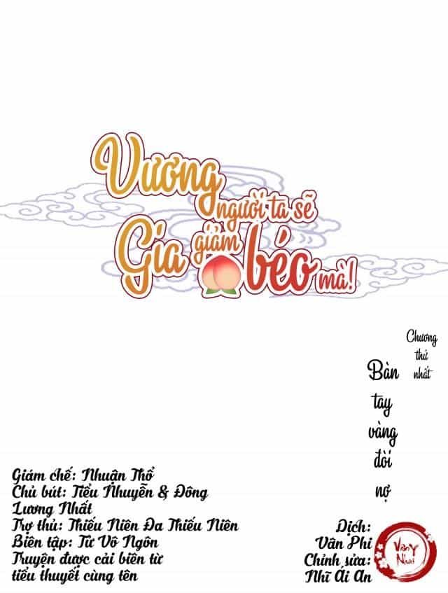 Vương Gia Người Ta Sẽ Giảm Béo Mà!!! - Chương 3 - ảnh 1