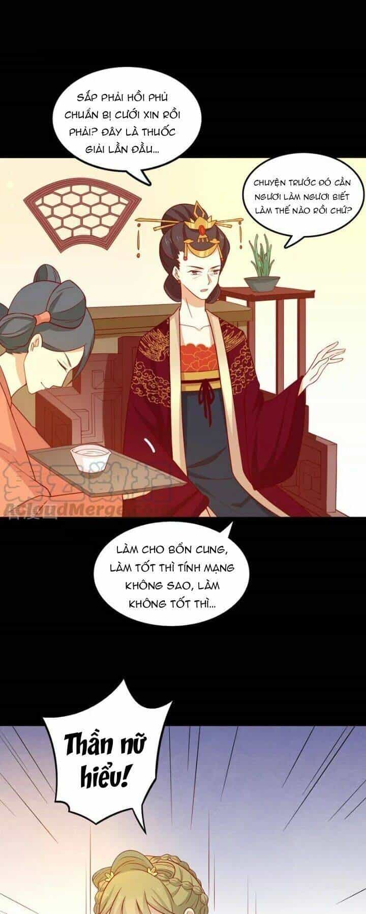 Vương Gia Người Ta Sẽ Giảm Béo Mà!!! - Chương 77 - ảnh 9
