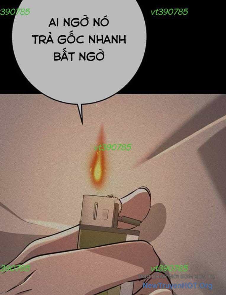 Vương Hậu Đi Học - Chương 50 - ảnh 4