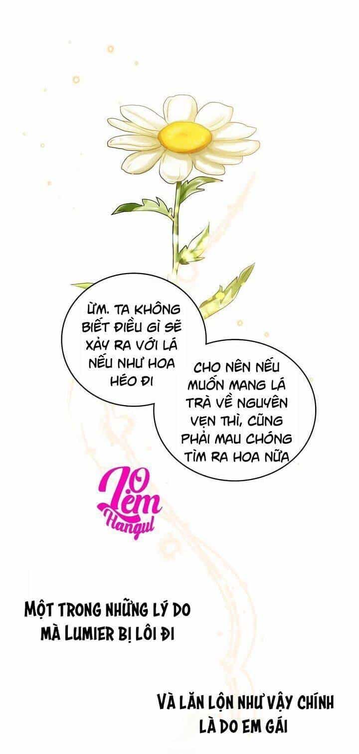 Vương Miện Viridescent - Chương 43 - ảnh 36