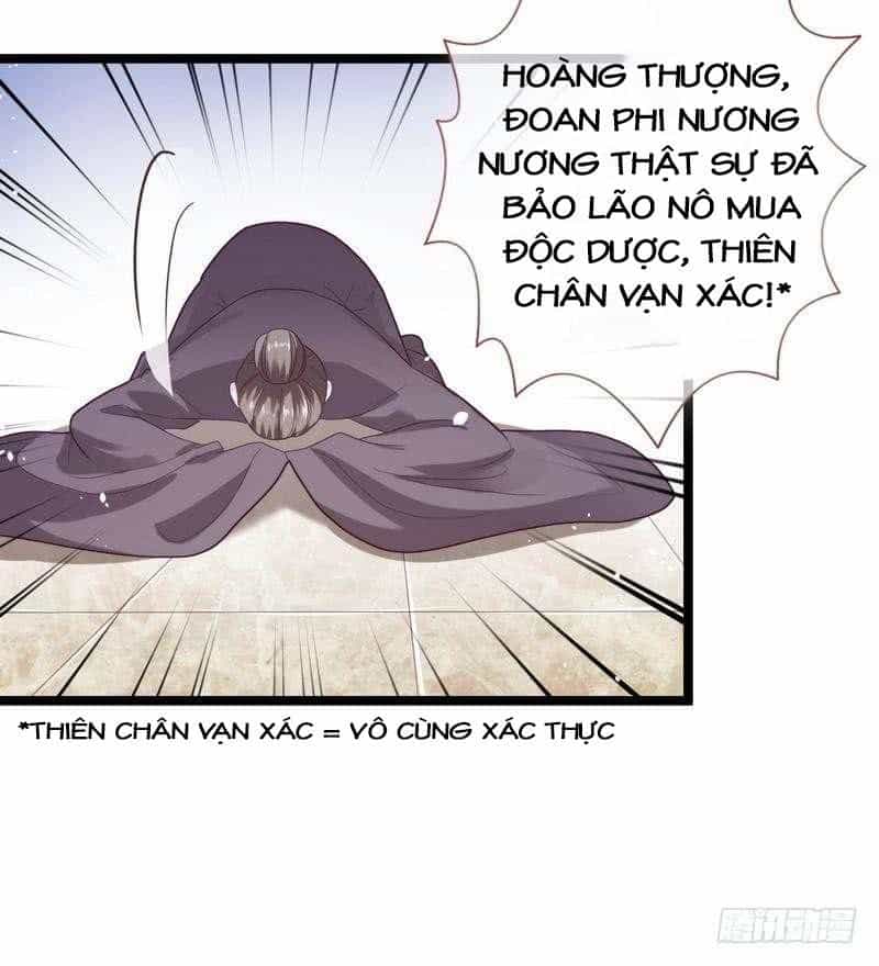 Vương Phi - Âm Động Thiên Hạ - Chương 16 - ảnh 22