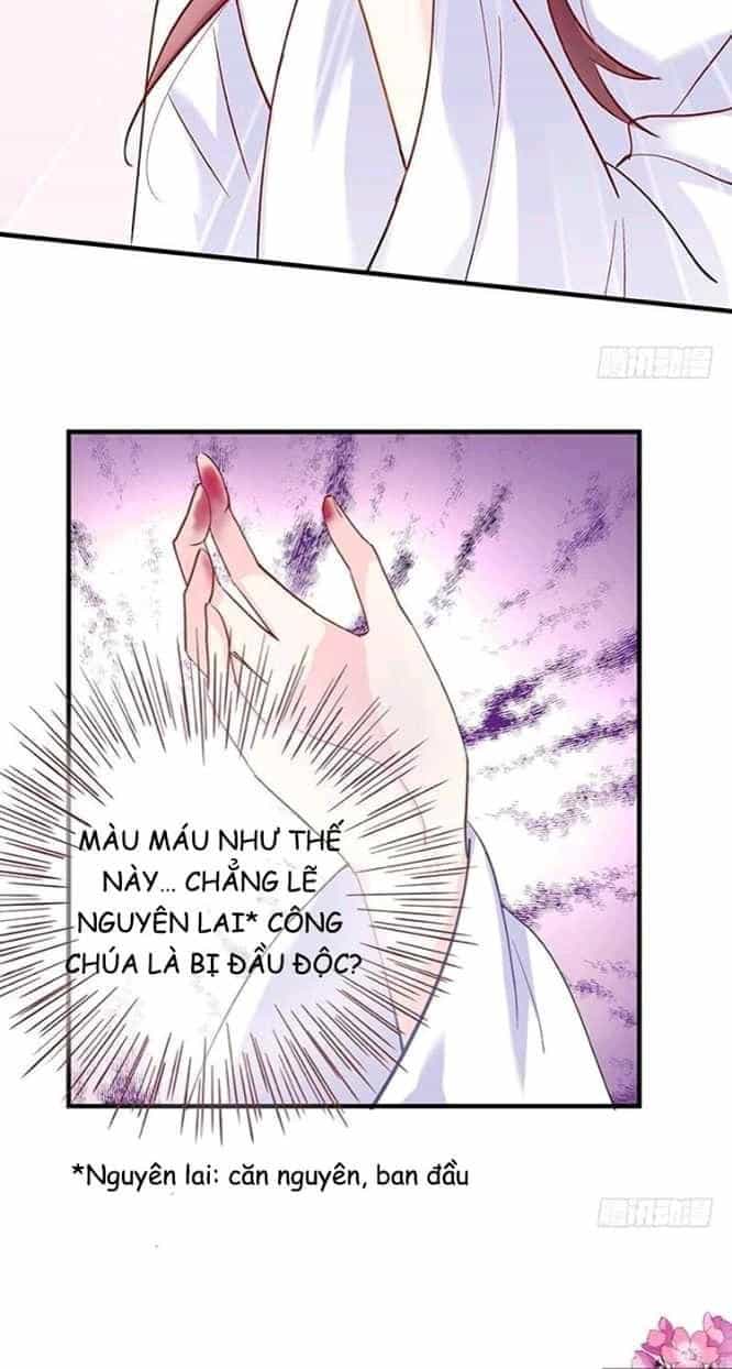 Vương Phi - Âm Động Thiên Hạ - Chương 2 - ảnh 31