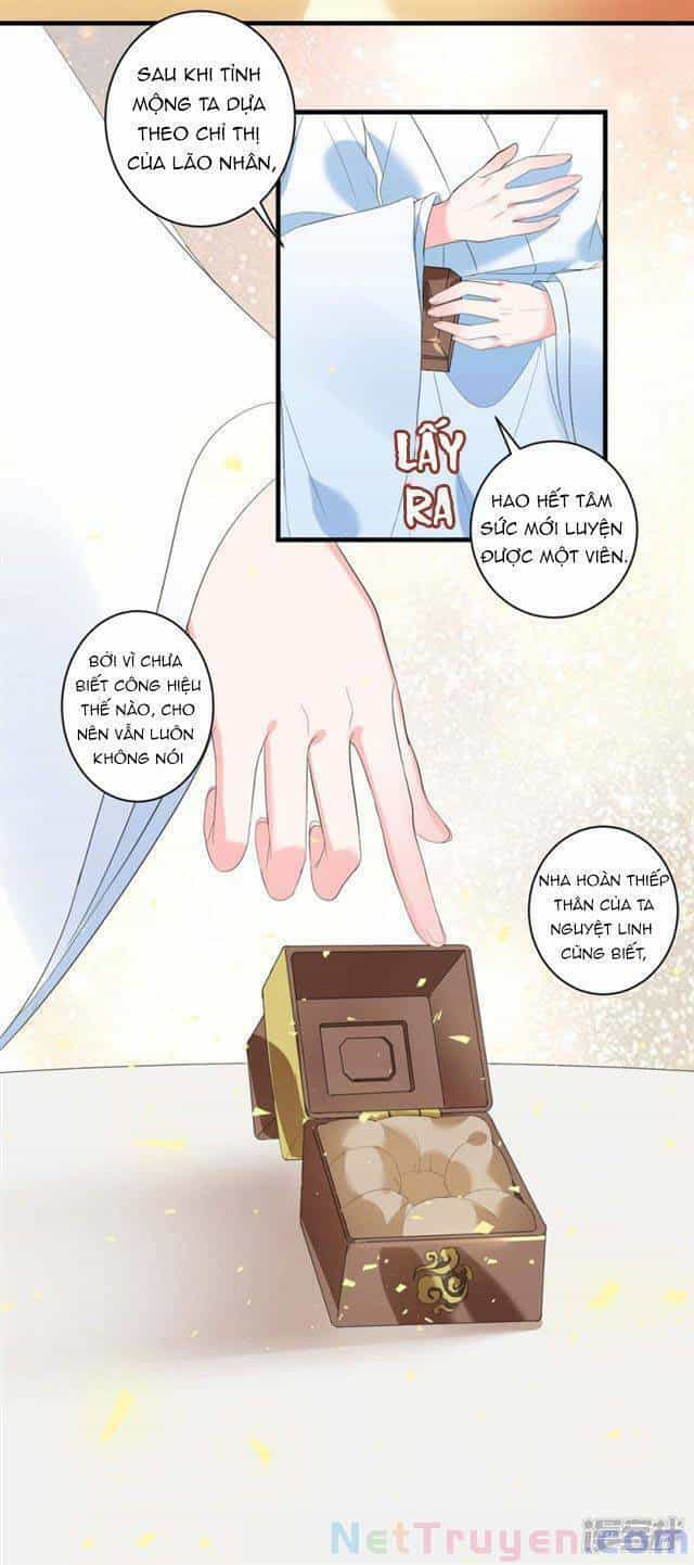 Vương Phi Có Độc! - Chương 4 - ảnh 10