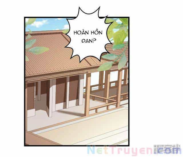 Vương Phi Có Độc! - Chương 4 - ảnh 2