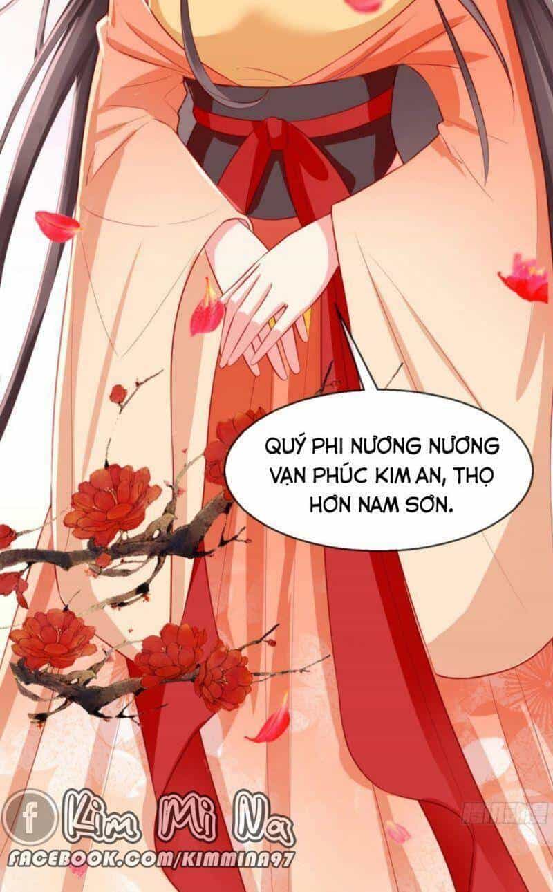 Vương Phi Là Đoá Bạch Liên Hoa - Chương 24 - ảnh 9